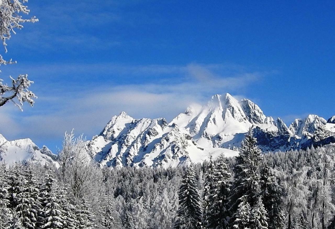 Strbske Pleso Rezidencia Oliver - Apartman 16A Buitenkant foto